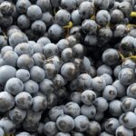 Winery Visit on Parma Hills & Wine Tasting with Food Platter - Final Thoughts