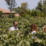 Winery Visit & Tasting on the Volcanic Slopes near Catania - In-Depth Review: Exploring the Heart of Mount Etna’s Vineyards