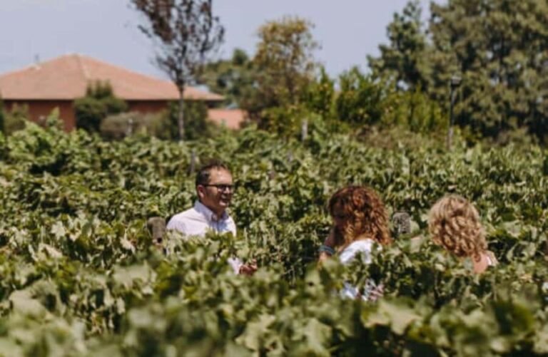 Winery Visit & Tasting on the Volcanic Slopes near Catania - In-Depth Review: Exploring the Heart of Mount Etna’s Vineyards