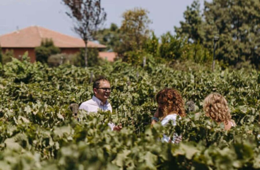 Winery Visit & Tasting on the Volcanic Slopes near Catania - In-Depth Review: Exploring the Heart of Mount Etna’s Vineyards
