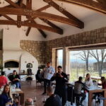 Winery visit & Wine Tasting: half-day tour - Authentic Romanian Wine Experiences Worth Savoring