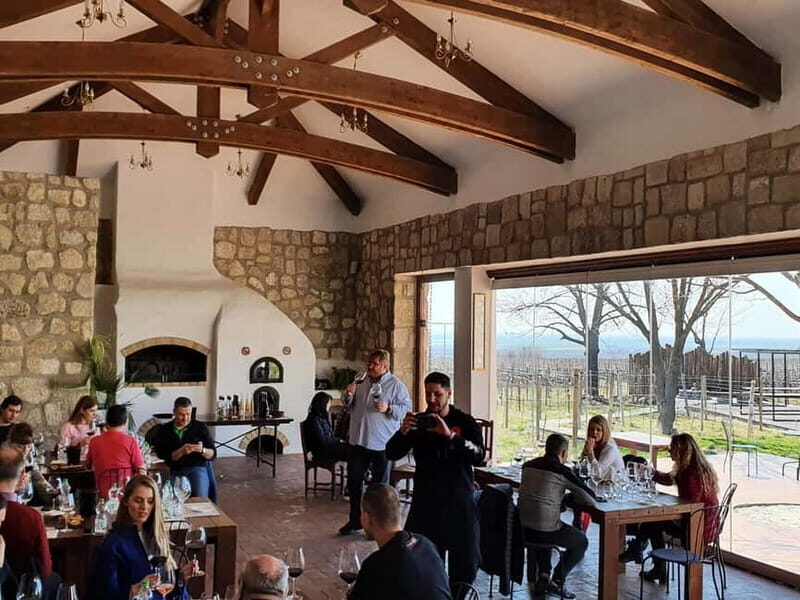 Winery visit & Wine Tasting: half-day tour - Authentic Romanian Wine Experiences Worth Savoring