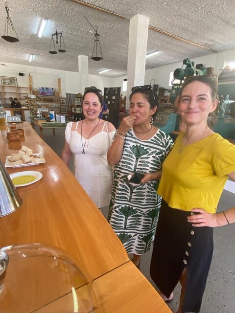 Winery Winery Olive Oil Tasting Traditional lunch - Who Should Consider This Tour?