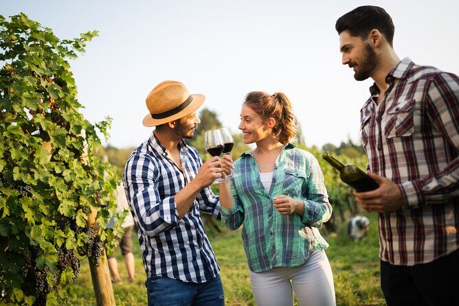 Wines and Views Private Wine Tour of Otago from Queenstown - Who Will Love This Tour?