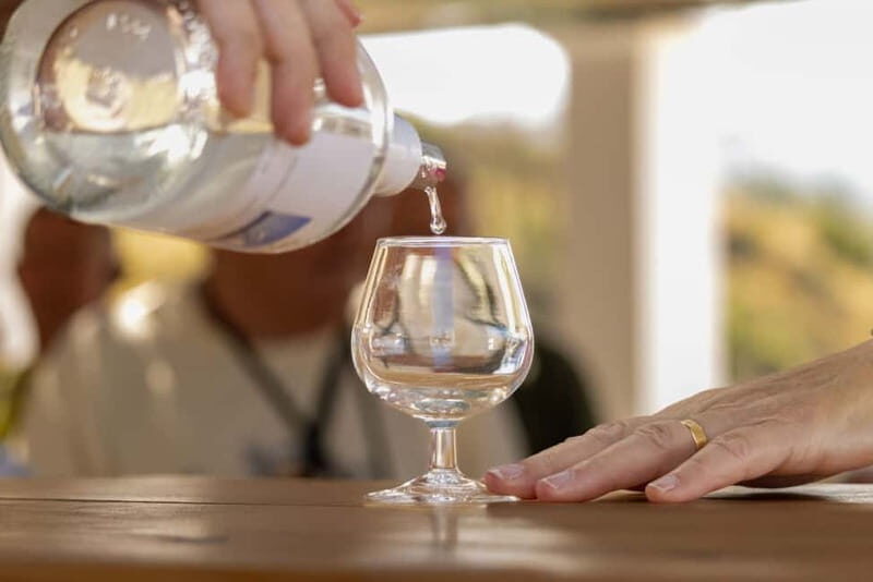 Wines of Rhodes: Traditional Wine Tasting in the vineyards - Practical Details and Considerations