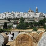 WINES Tastings and Countryside! from Bari - Authenticity and Education