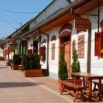Winetaste in Villany, sightseeing in Pécs, private tour - Who Should Consider This Tour?