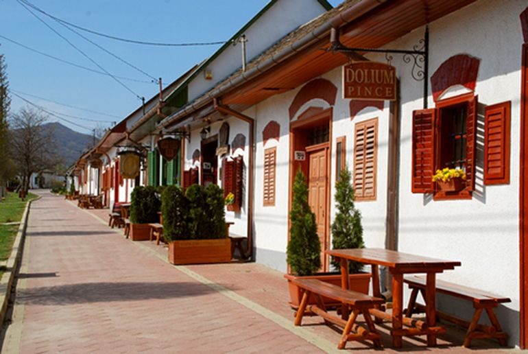 Winetaste in Villany, sightseeing in Pécs, private tour - Who Should Consider This Tour?