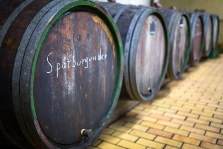 Winetasting with tour through the winery - A Deep Dive into the Experience
