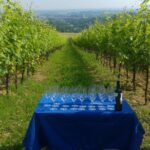 Winetour and tasting on Bologna hills, guided by the wine grower - Final Thoughts