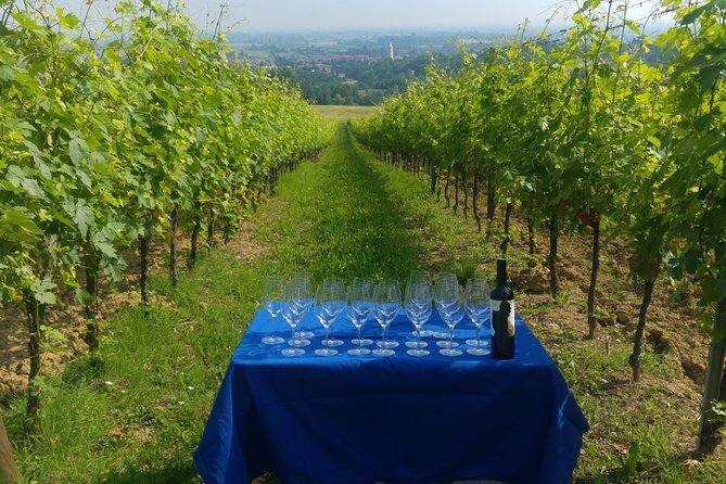 Winetour and tasting on Bologna hills, guided by the wine grower - Final Thoughts