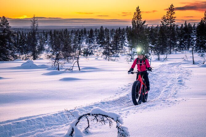 Winter afternoon group Ride in Saariselkä - A Deep Dive into the Winter Cycling Tour in Saariselkä
