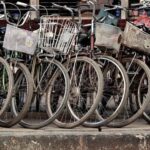 Winter E-Bike Tour| A Royal Coastal Adventure - Included and Optional Extras