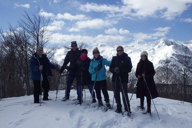 Winter Fairytale - Triglav National Park Half Day Trip - Who Will Enjoy This Tour?