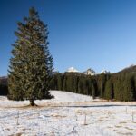 Winter Hike in Julian Alps - What Makes This Tour Stand Out
