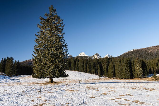 Winter Hike in Julian Alps - What Makes This Tour Stand Out