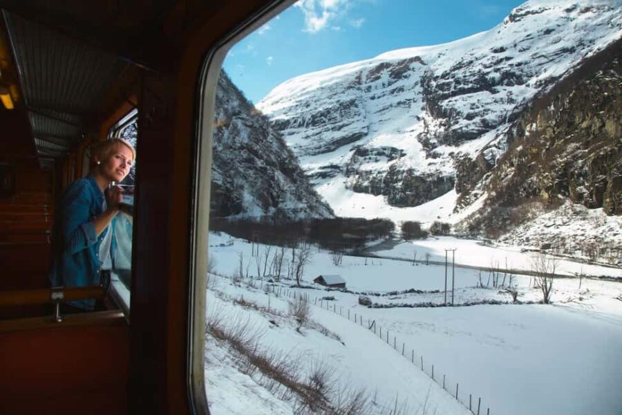 Winter Tour Viking Village, Nærøyfjord Cruise & Flåm Railway - Analyzing the Value