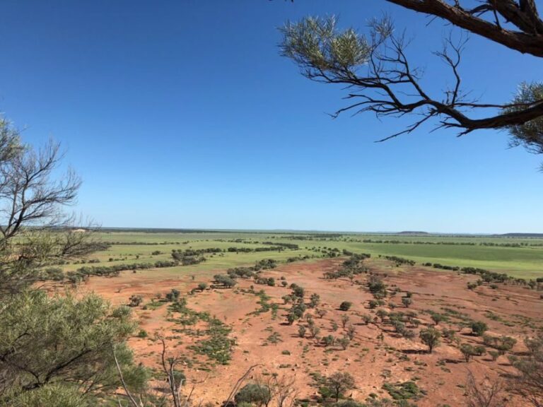 Winton: Bladensburg National Park Half Day Tour - Exploring the Details of the Bladensburg Tour