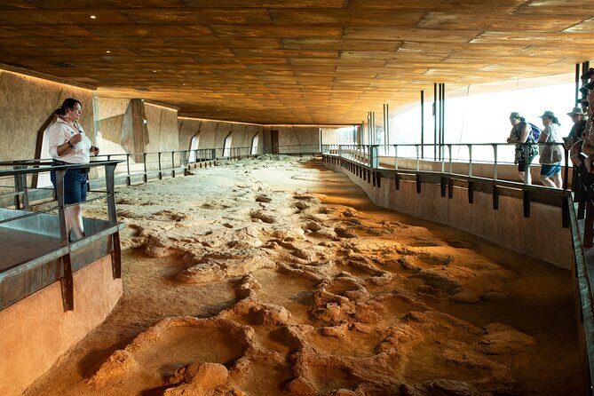 Winton Discovery Day Tour - Practical Insights and Tips