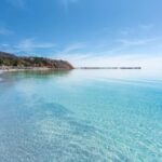 Wirrina Cove: Coastal Sightseeing Boat Tour with Seal Colony - Price, Value, and Booking