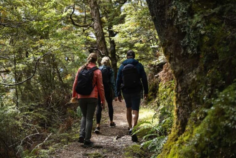 Wnaka: Heli Siberia - Helicopter Flight, Hike & Jet Boat - The Value of Wnaka’s Heli Siberia Experience