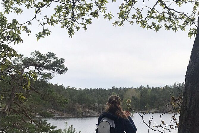 Wolf and Wildlife Tracking in Sweden - Who Will Appreciate This Tour?