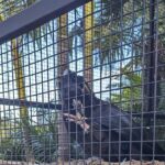 Wollongong Sightseeing Guided Day Tour - A Deep Dive into the Wollongong Day Tour Experience