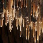 Wombeyan Caves: Mulwaree Cave tour - An In-Depth Look at the Mulwaree Cave Tour