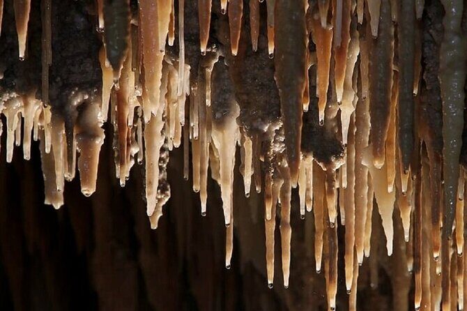 Wombeyan Caves: Mulwaree Cave tour - An In-Depth Look at the Mulwaree Cave Tour