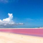 Wonderful Tour Las Coloradas & Buffete only from Cancun - What’s Included and How You’ll Spend Your Day