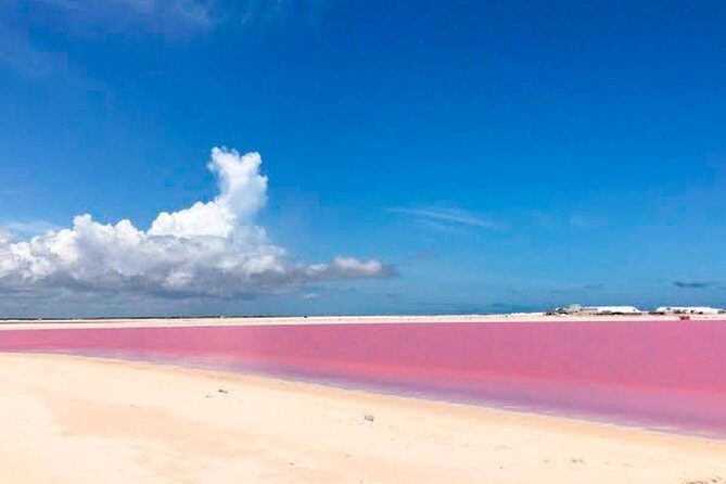 Wonderful Tour Las Coloradas & Buffete only from Cancun - What’s Included and How You’ll Spend Your Day