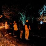 Wonderland by Night Norfolk Island - Who Will Love This Tour?
