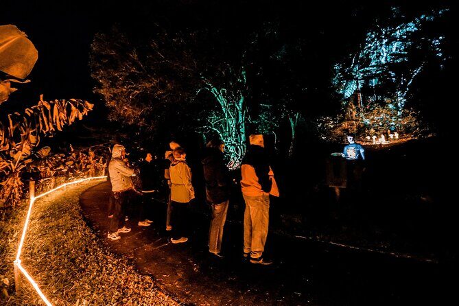 Wonderland by Night Norfolk Island - Who Will Love This Tour?