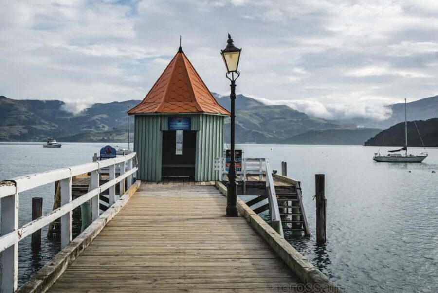 Wonders of Wellington: A Day of Icons, Views & Culture - Who Is This Tour Perfect For?