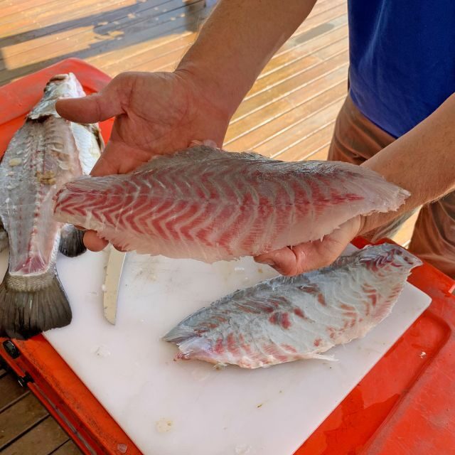 Wonga: Guided Fishing, Farming and Tasting Tour - An In-Depth Look at Wonga’s Barramundi Tour