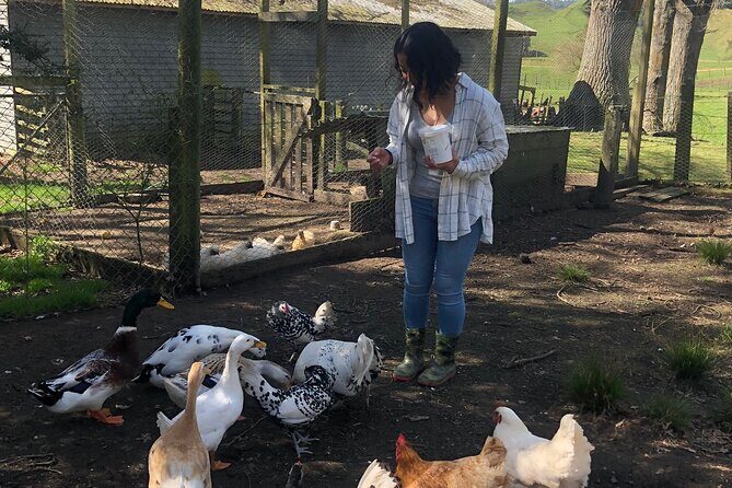 Wool Sheep Farm Experience with Handmade Wool Hat in New Zealand - Who Would Enjoy This Tour?