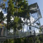 Wooroonooran National Park: Mamu Tropical Skywalk Admission - Why This Experience is Worth Your Time