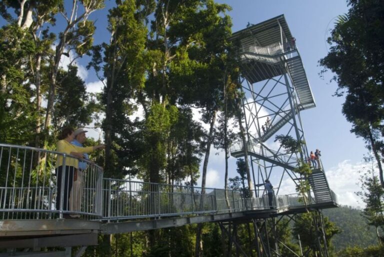 Wooroonooran National Park: Mamu Tropical Skywalk Admission - Why This Experience is Worth Your Time