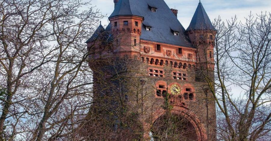 Worms - Private Tour - Why This Tour Works Well for Different Travelers