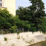 Wrocaw: Venice of the North! Monuments on the Odra River 2h - Final Thoughts