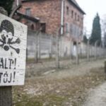 Wroclaw to Auschwitz-Birkenau Private Full-Day Trip by Car - A Deep Dive into the Auschwitz-Birkenau Tour from Wroclaw