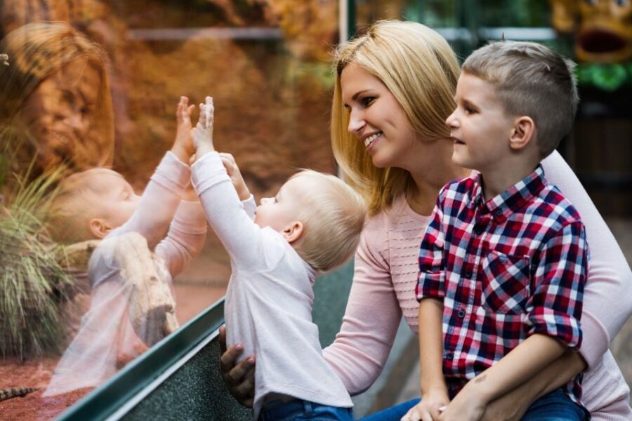 Wroclaw: Zoo with Private Transport and Tickets - Who Will Love This Tour?