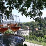 Wuerzburg: Wine mountain rally with wine tasting and group dynamics - An in-depth look at the Würzburg Vineyard Rally