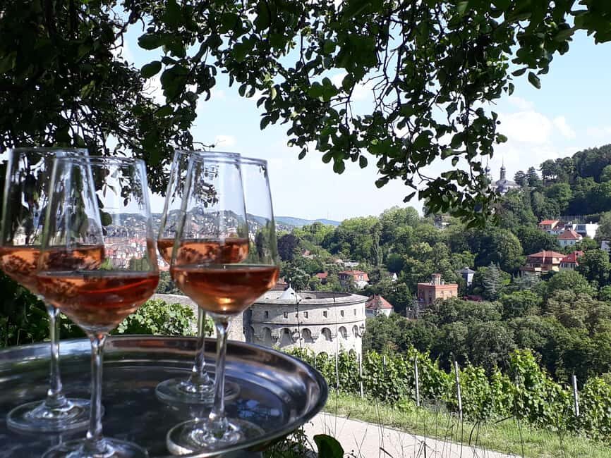 Wuerzburg: Wine mountain rally with wine tasting and group dynamics - An in-depth look at the Würzburg Vineyard Rally