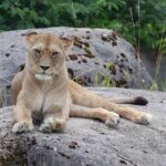 Wuppertal: Admission to the Wuppertal Green Zoo - Final Thoughts