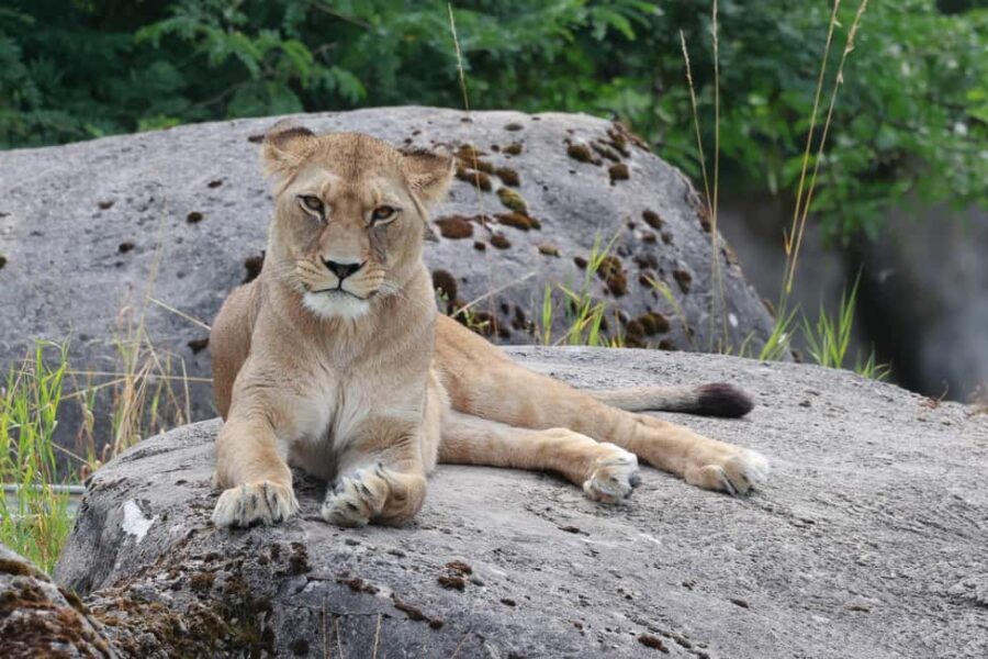 Wuppertal: Admission to the Wuppertal Green Zoo - Final Thoughts