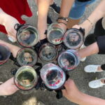 Würzburg: Excursion to the vineyards - enjoyable wine hike & tasting - The Value of This Experience