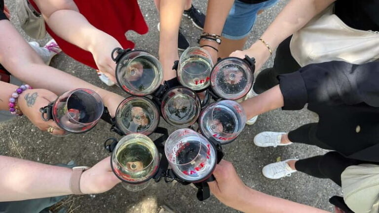 Würzburg: Excursion to the vineyards - enjoyable wine hike & tasting - The Value of This Experience