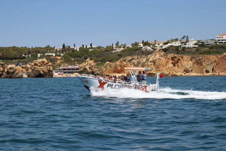 X Plorer  Caves (Benagil) & Dolphins Cruise - The Sum Up: Who Should Consider This Tour?