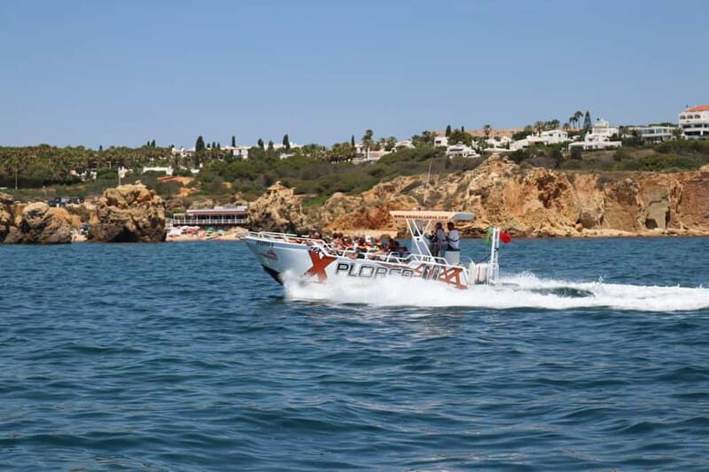 X Plorer  Caves (Benagil) & Dolphins Cruise - The Sum Up: Who Should Consider This Tour?